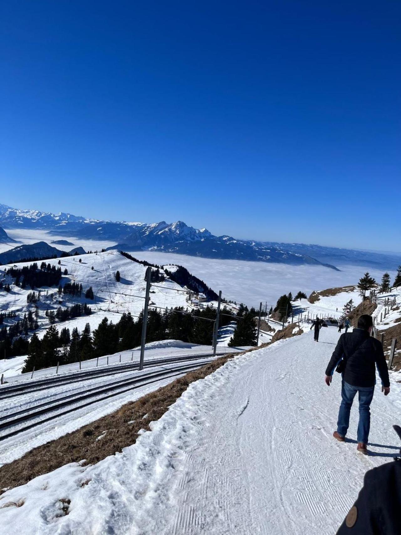 Chalet Oz Vitznau Kültér fotó
