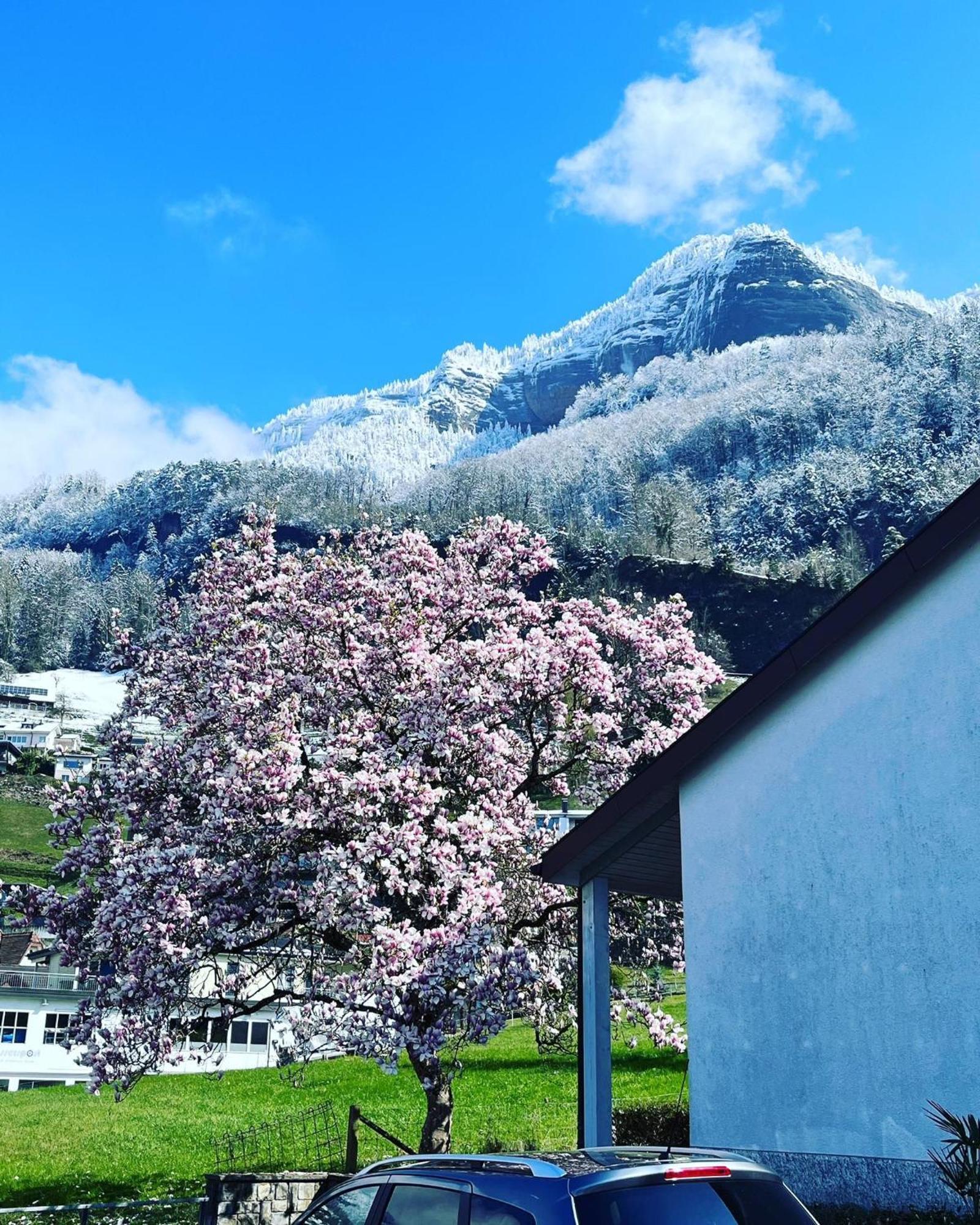 Chalet Oz Vitznau Kültér fotó