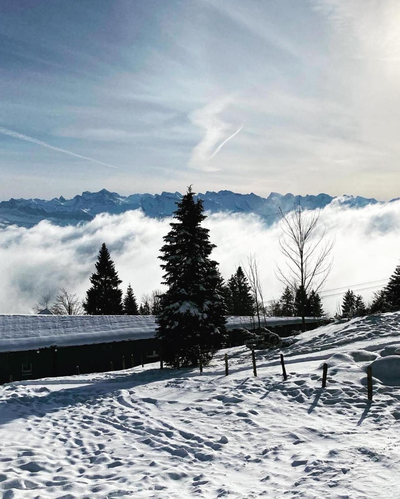 Chalet Oz Vitznau Kültér fotó