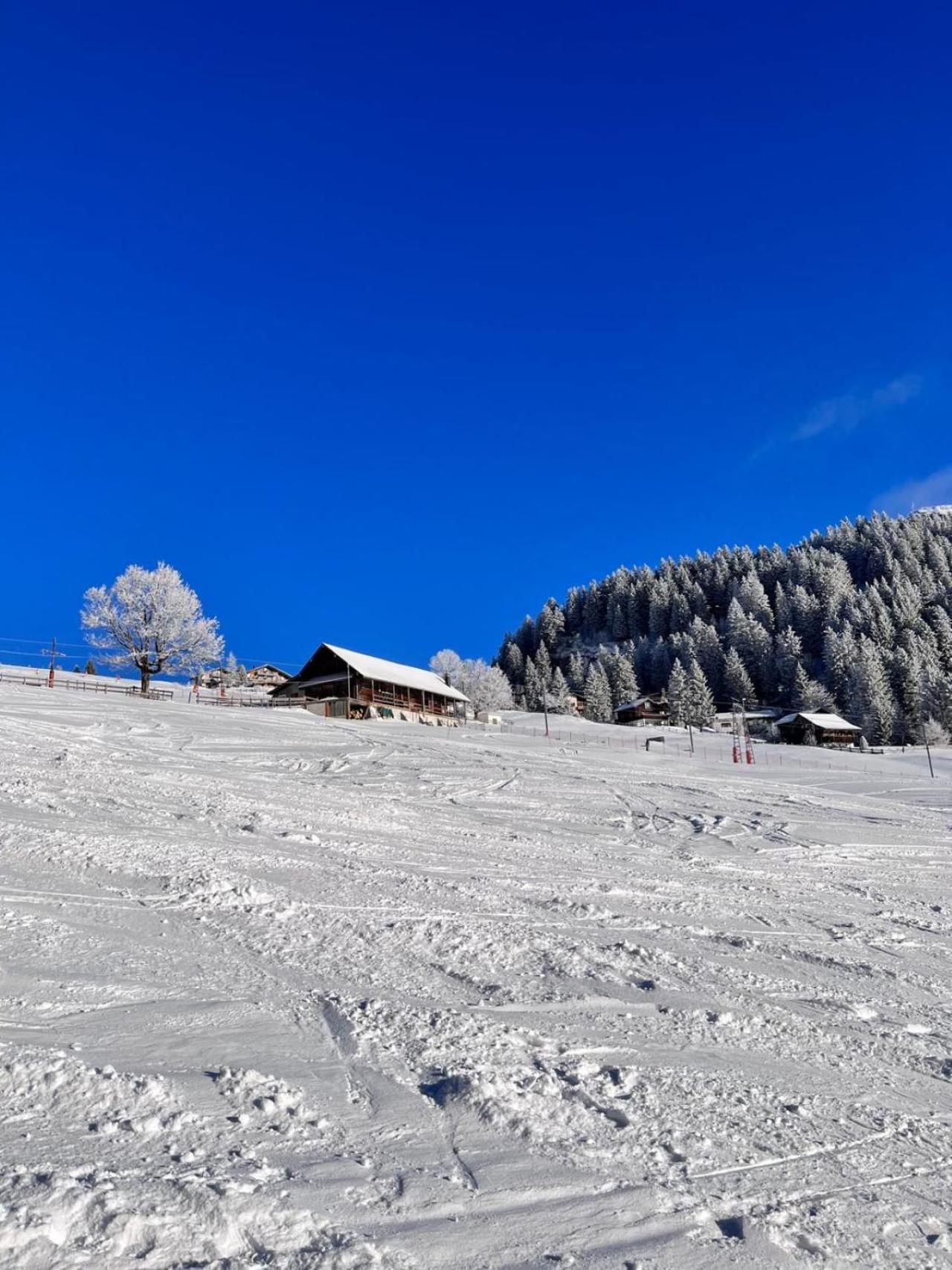 Chalet Oz Vitznau Kültér fotó
